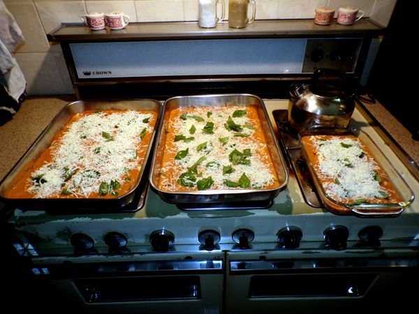 Zucchini ravioli - ready for oven crop July 2024.jpg