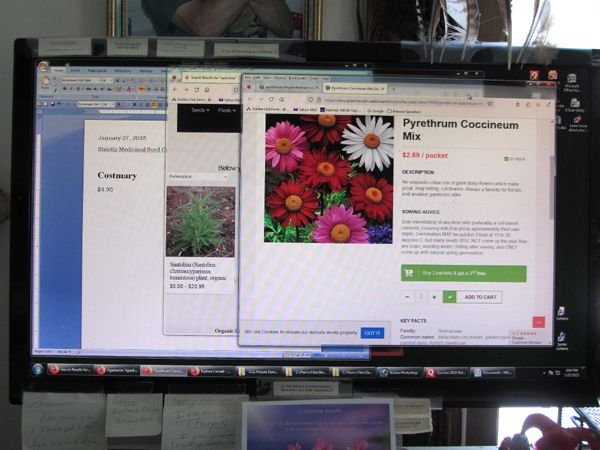 Seeds - searching online crop Jan 2025.jpg