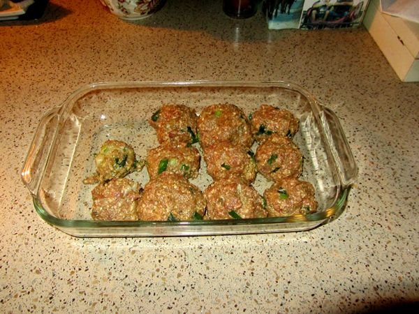 Meatballs crop Jan 2025.jpg