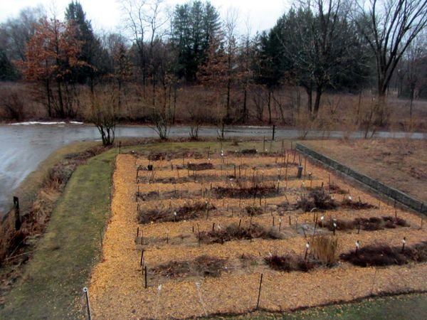 New Herb - rainy morning crop March 2025.jpg