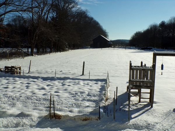 Middle pasture - all white crop Feb. 2022.jpg