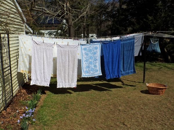 First laundry out crop April 2022.jpg