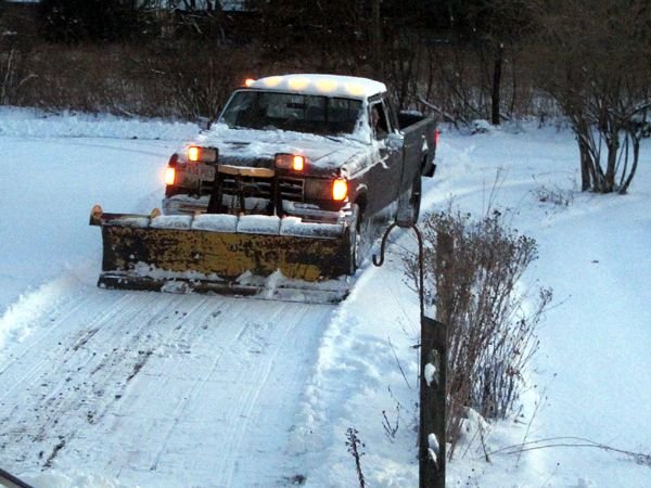 David R plowing crop Jan 2025.jpg