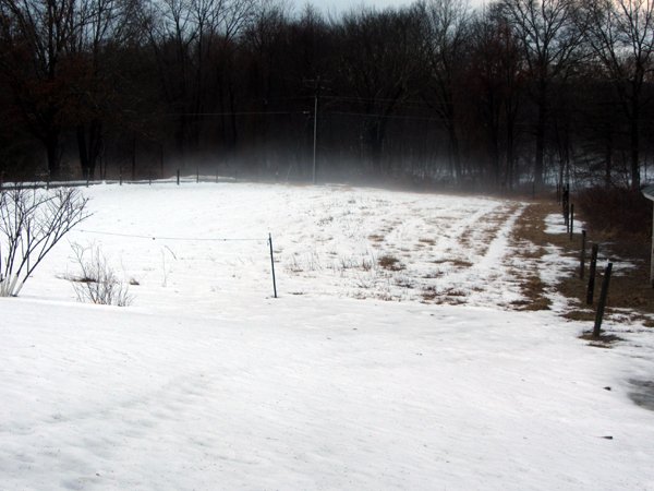 Front pasture - fog rising crop March 2025.jpg