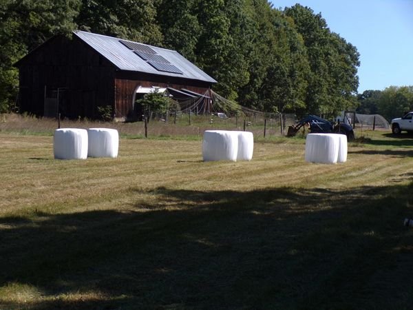 Middle pasture - 6 bales1 crop Sept. 2022.jpg