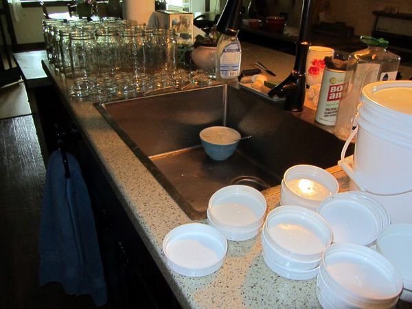 Empty sauerkraut bottles crop June 2025.jpg