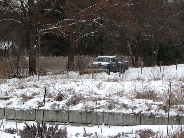 David plowing crop Feb 2025.jpg