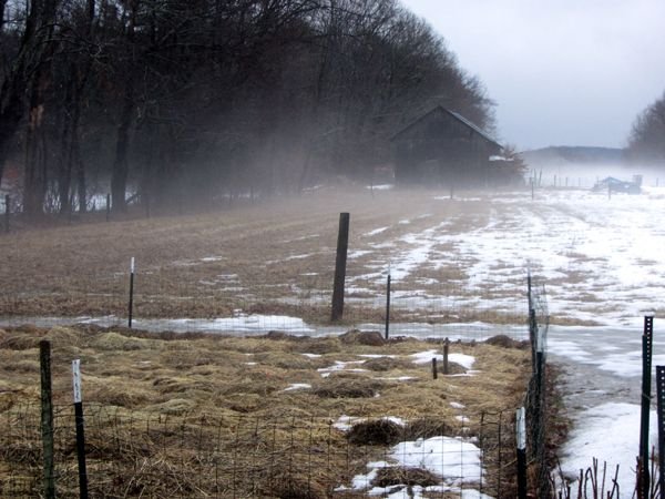 Middle pasture - fog rising crop March 2025.jpg