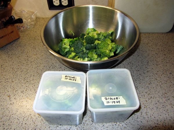 Broccoli - 3 meals crop Oct 2024.jpg