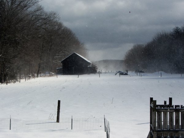 Snow tornados2 crop Feb 2025.jpg