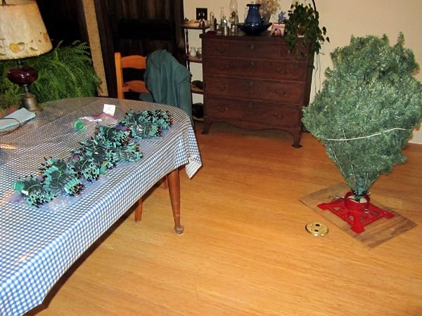 Christmas tree - getting started crop Nov 2024.jpg