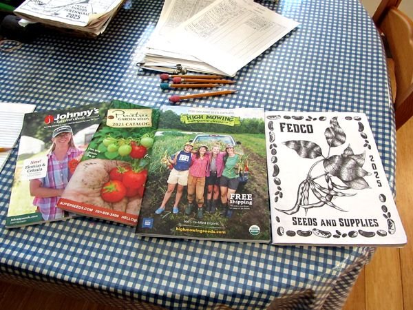 Seed catalogs crop Jan 2025.jpg