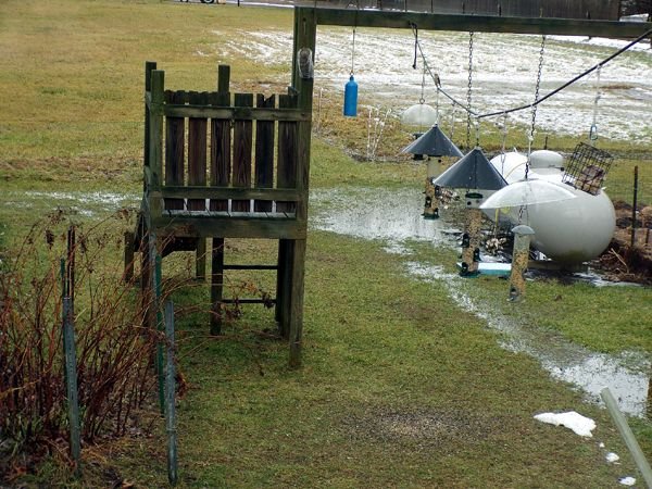 East side - flooding crop Jan. 2024.jpg