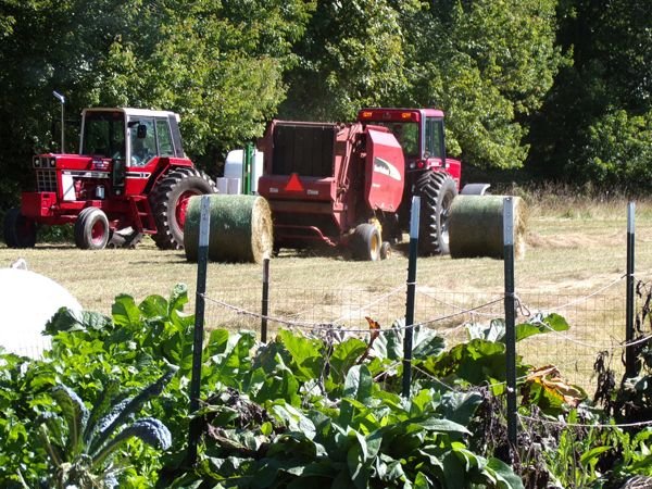 Middle pasture - 2 tractors1 crop Sept. 2022.jpg