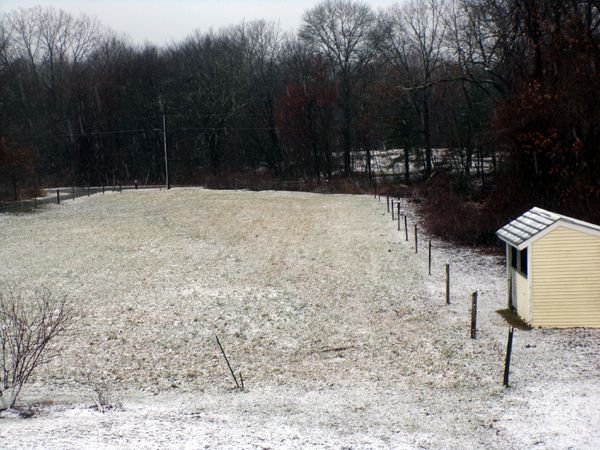 Front pasture - snowing crop Jan. 2023.jpg