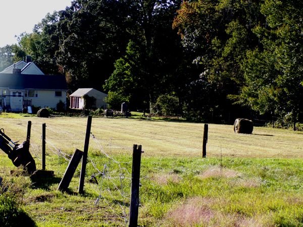 Middle pasture - 2 bales crop Sept. 2023.jpg