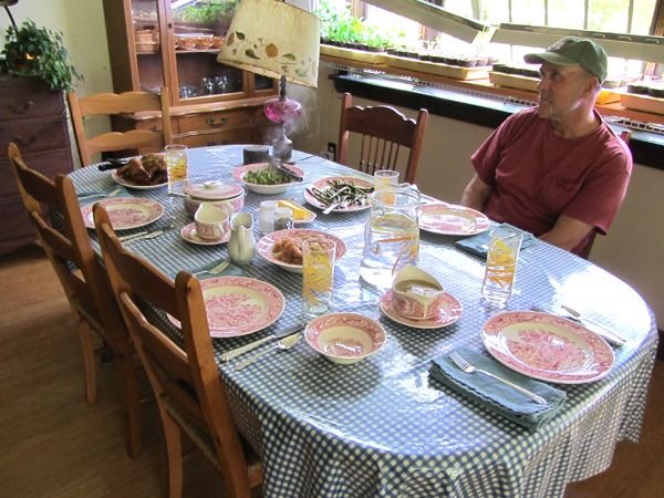 Corky and the meal crop May 2025.jpg