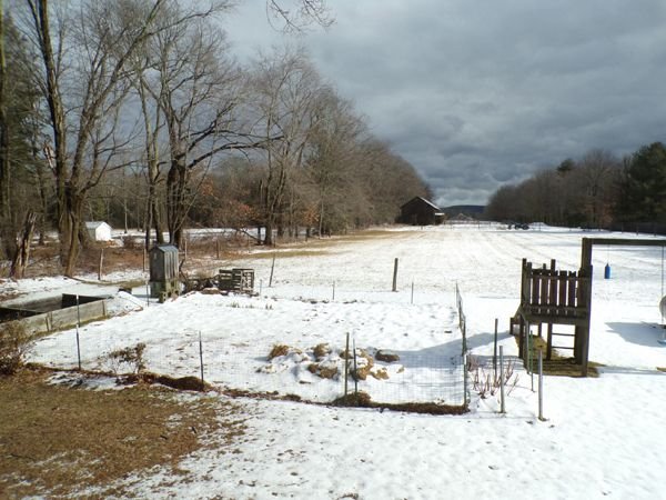 Small garden and middle pasture crop Jan. 2023.jpg