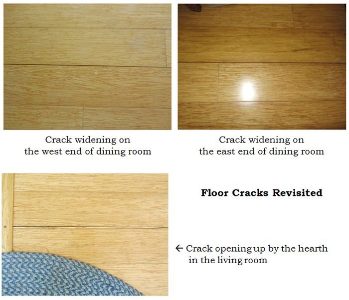 Floor cracks collage text crop Dec 2024.jpg