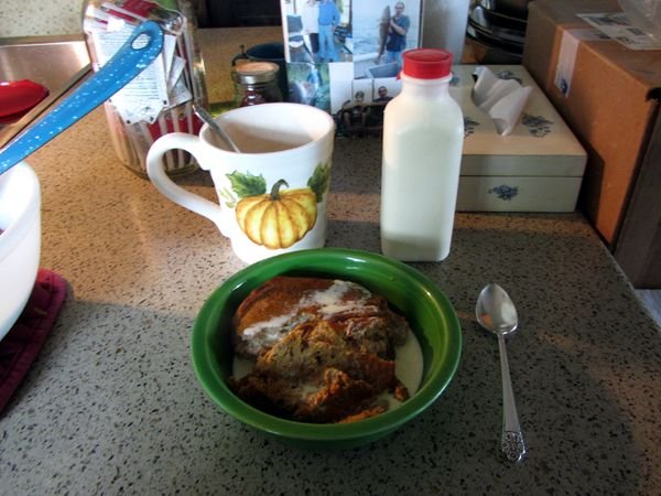 Pumpkin pudding in bowl crop Oct 2024.jpg