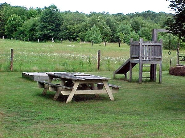 10.Picnic.table.sandbox.swingset.crop July.02.jpg