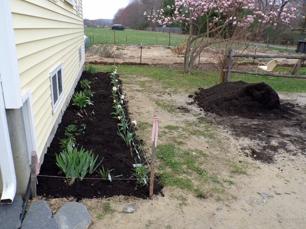 New South - compost crop April 2021.jpg