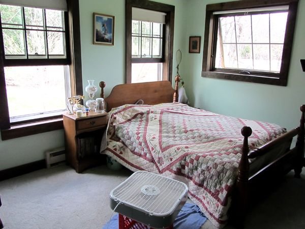 Bedroom - screens in crop April 2025.jpg