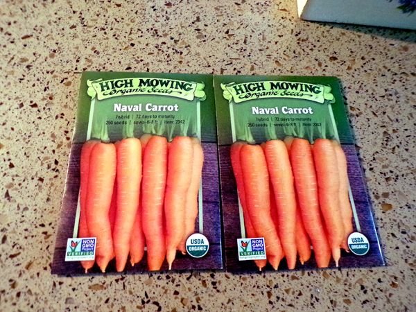 Carrot seeds crop April 2024.jpg