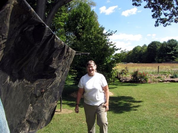 Pam Hanging plastic2 crop Sept. 2024.jpg