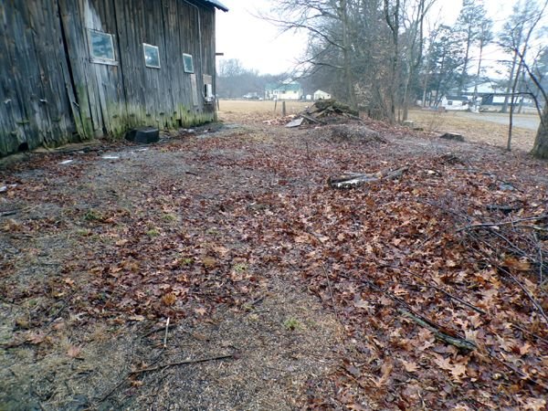 Behind barn - looking west2 crop Feb. 2023.jpg