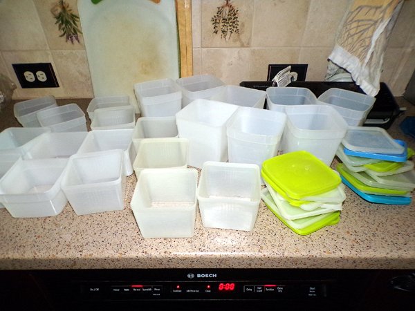 Clean freezer containers crop July 2024.jpg