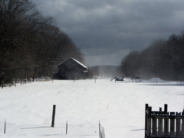 Snow tornados1 crop Feb 2025.jpg