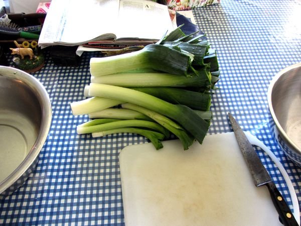 Leeks ready to chop crop Oct 2024.jpg