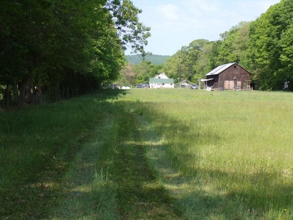 Back 40 - cleared treeline crop May 2021.jpg