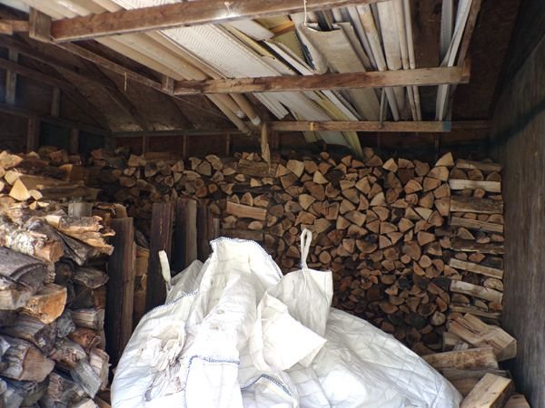 Old woodshed starting to fill crop May 2024.jpg