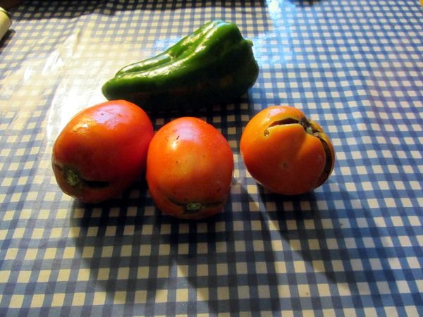 Tomato and pepper harvest crop August 2024.jpg