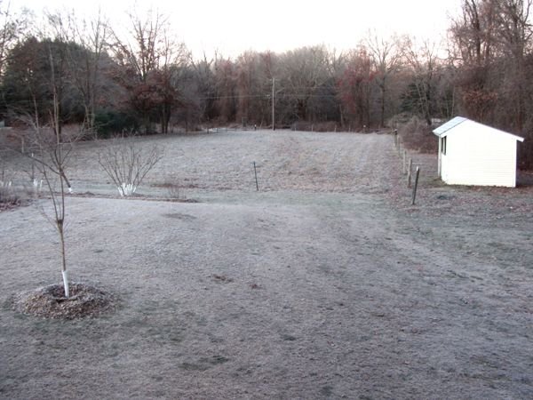 Frosty morning crop Dec 2024.jpg