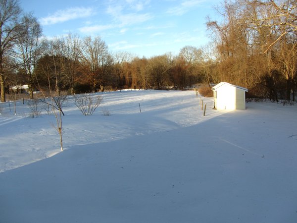 Cold sunny morning crop Feb 2025.jpg