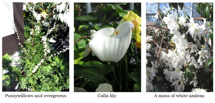 Smith Bulb Show collage4 text crop March 2025.jpg