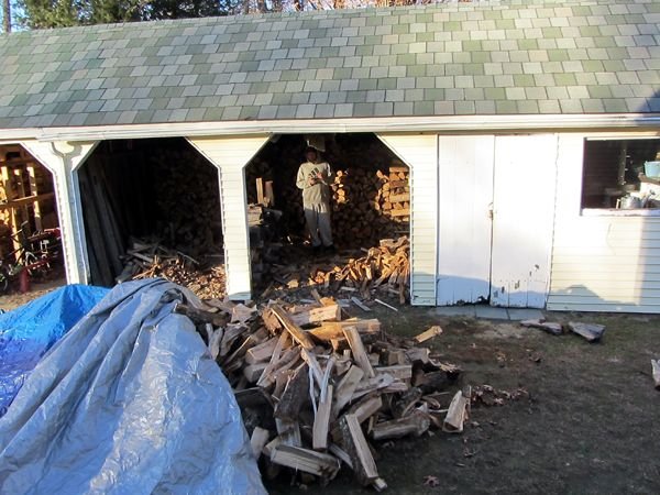 Moving wood into the shed crop Nov 2024.jpg