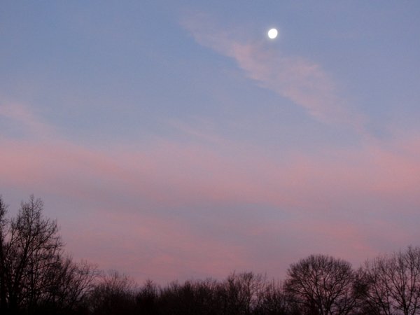 Moonset in west at dawn crop Jan 2025.jpg