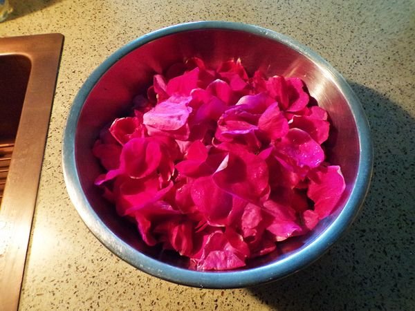 Rugosa petals for dehydrator crop June 2022.jpg