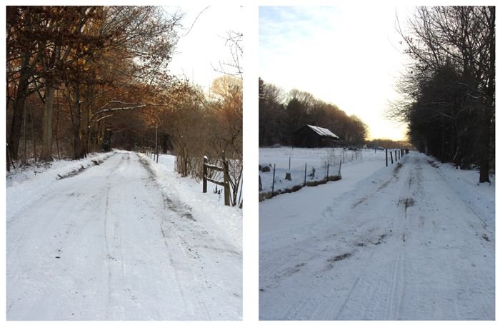 Driveway in snow collage crop Jan 2025.jpg