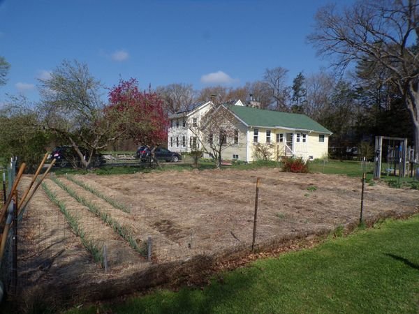 House and garden - spring morning crop April 2023.jpg