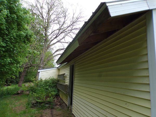 New woodshed - fascia part done2 crop May 2024.jpg