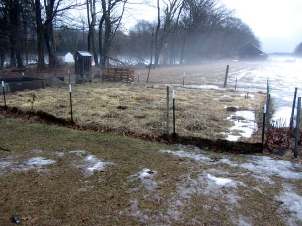 Small garden - snow off crop March 2025.jpg