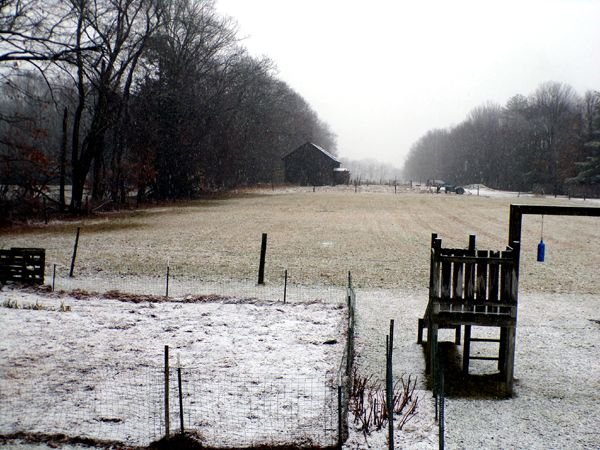 Snowing on middle pasture crop Jan. 2023.jpg