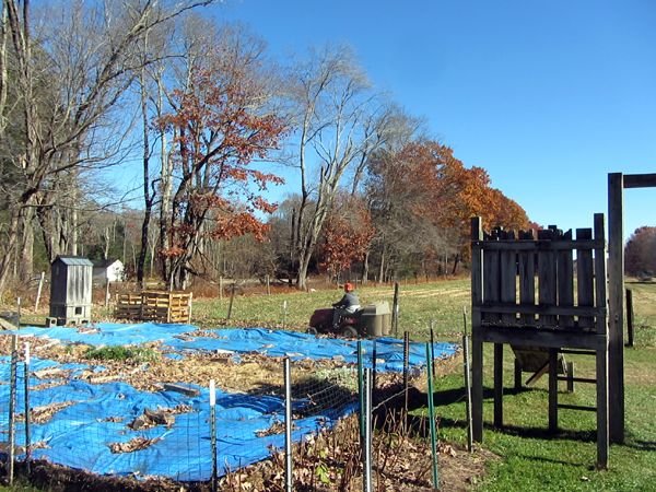 Pam mowing leaves1 crop Nov 2024.jpg