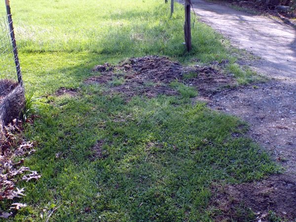 Dirt by pasture crop April 2023.jpg