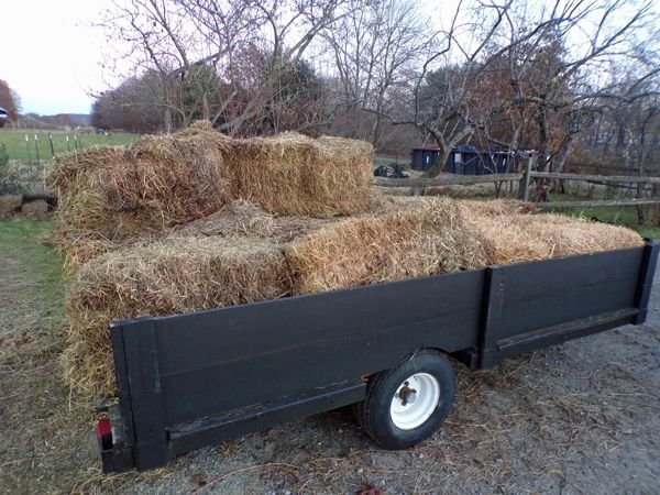 Trailer of mulch bales crop Nov. 2021.jpg